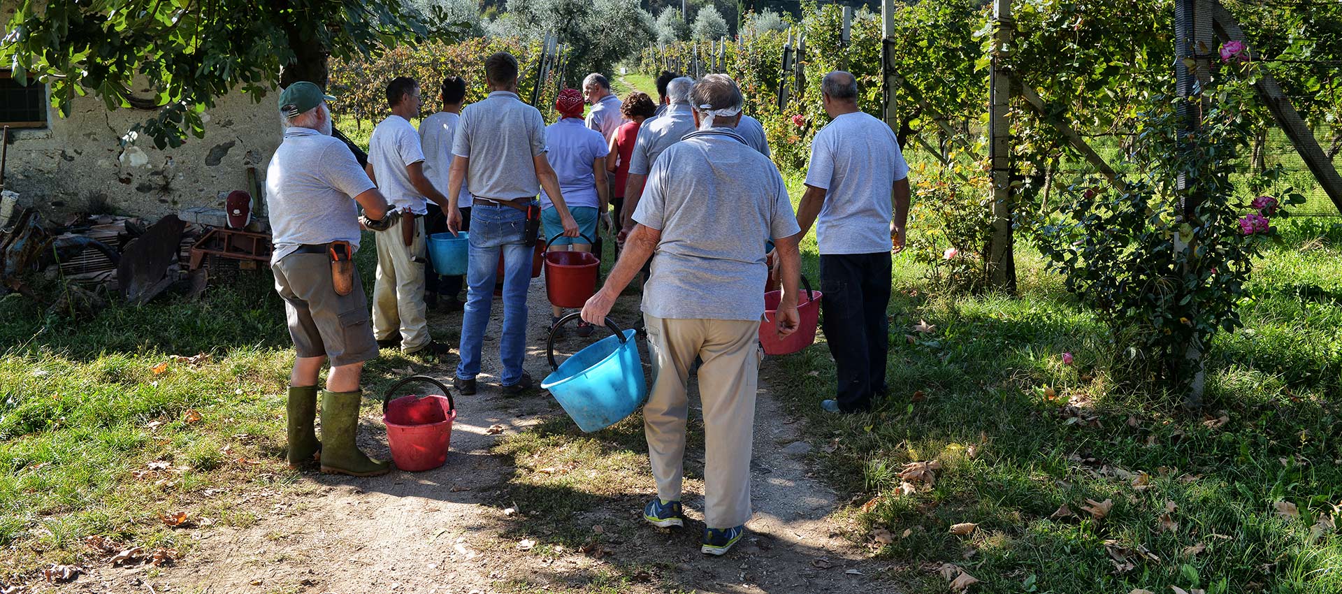 vendemmia 2018